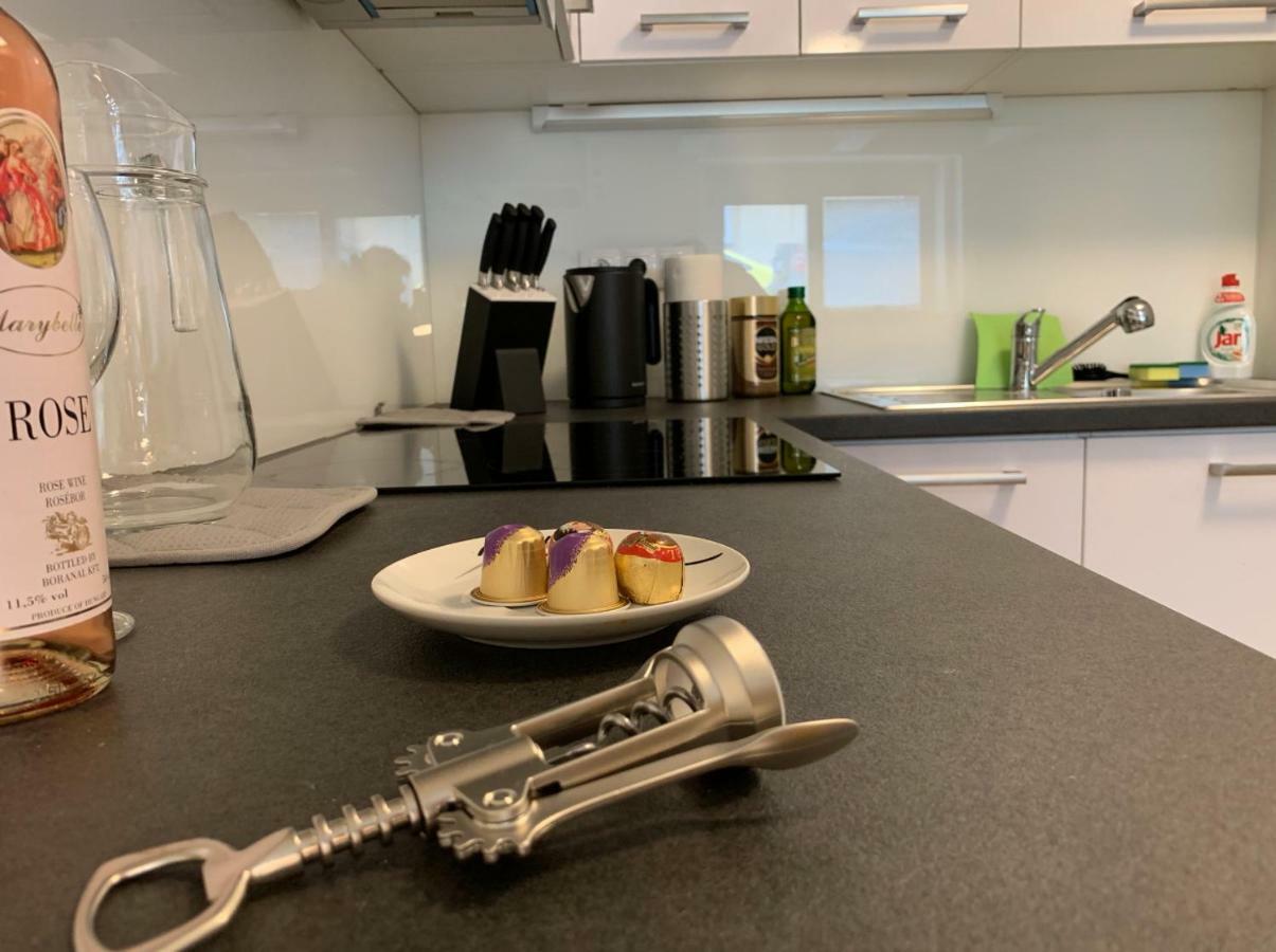 Ap 1 - Apartments 4U Brezinova "Overnight Simply" Hradec Králové 외부 사진