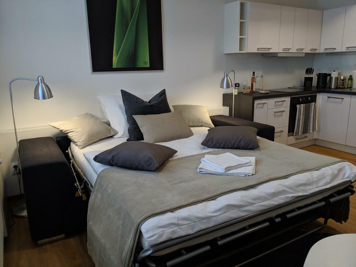 Ap 1 - Apartments 4U Brezinova "Overnight Simply" Hradec Králové 외부 사진